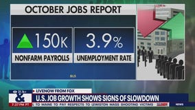 Expert weighs in on 'mediocre' October jobs report