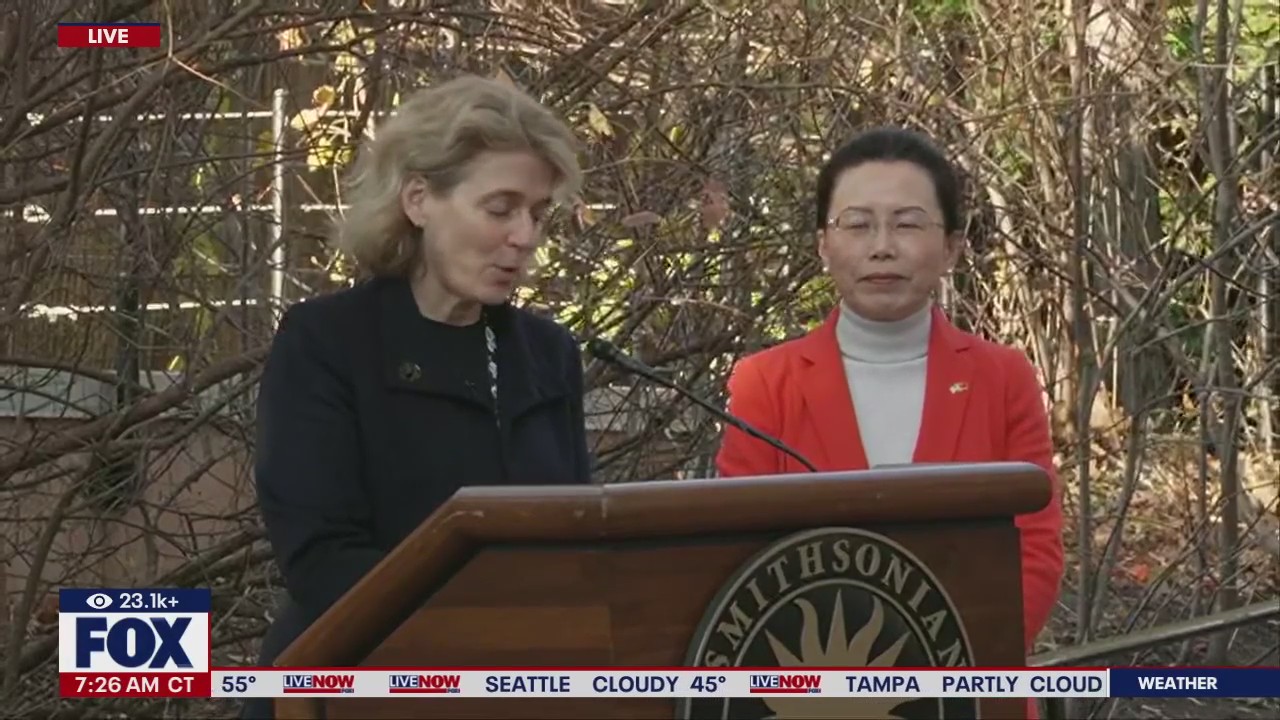 Giant pandas leave Smithsonian for China