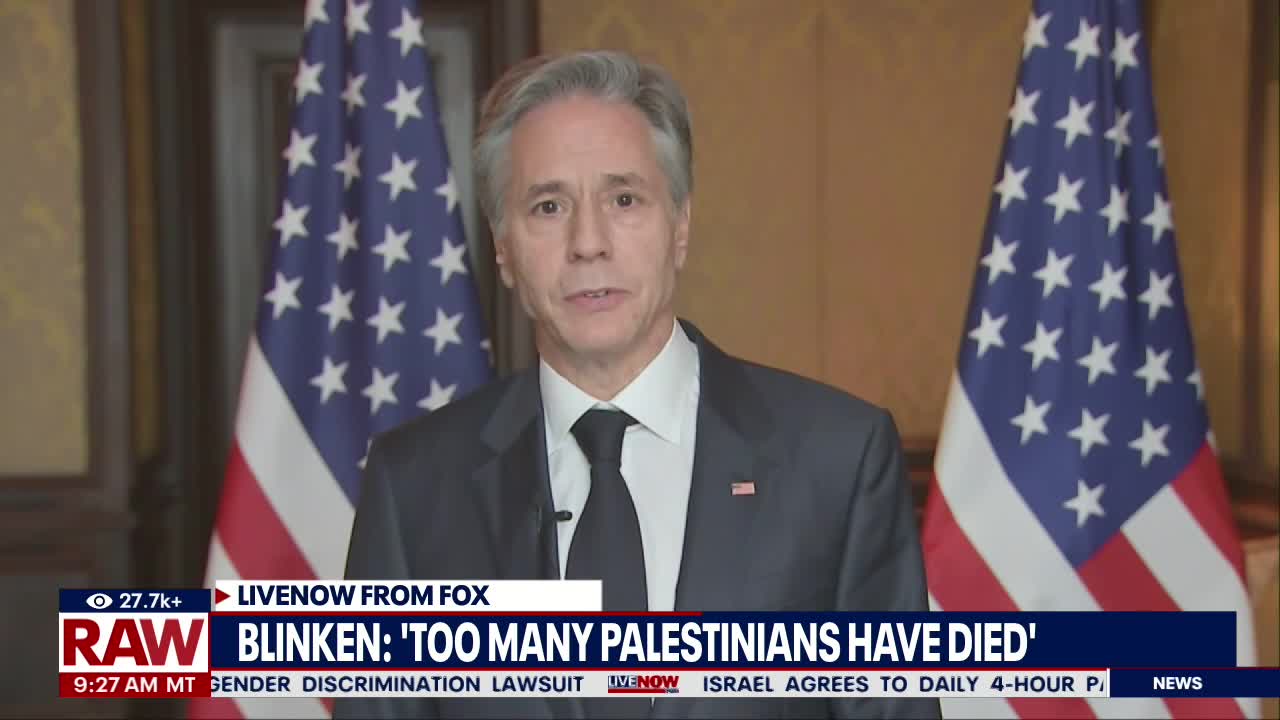 Blinken: "too many Palestinian civilians died"