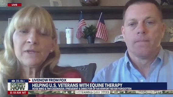 Unique equine therapy helps Veterans with PTSD
