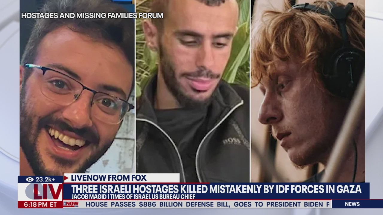 Three hostages mistakenly killed by IDF in Gaza