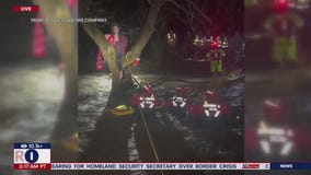 Man rescued from PA floods after climbing tree