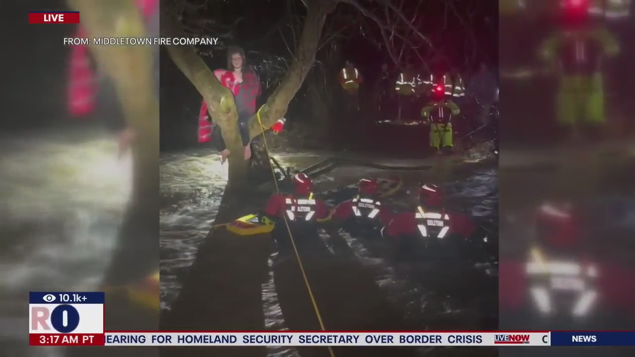Man rescued from PA floods after climbing tree