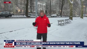 NYC breaks 2-year snowless streak