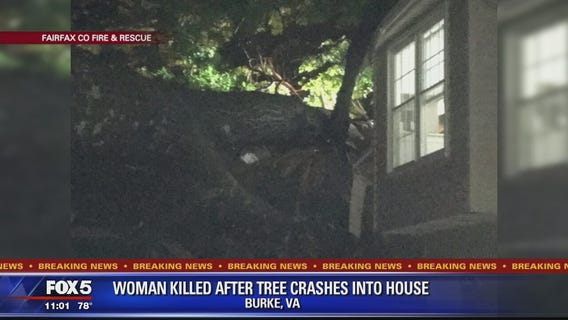 Woman killed after tree falls on house in Fairfax County