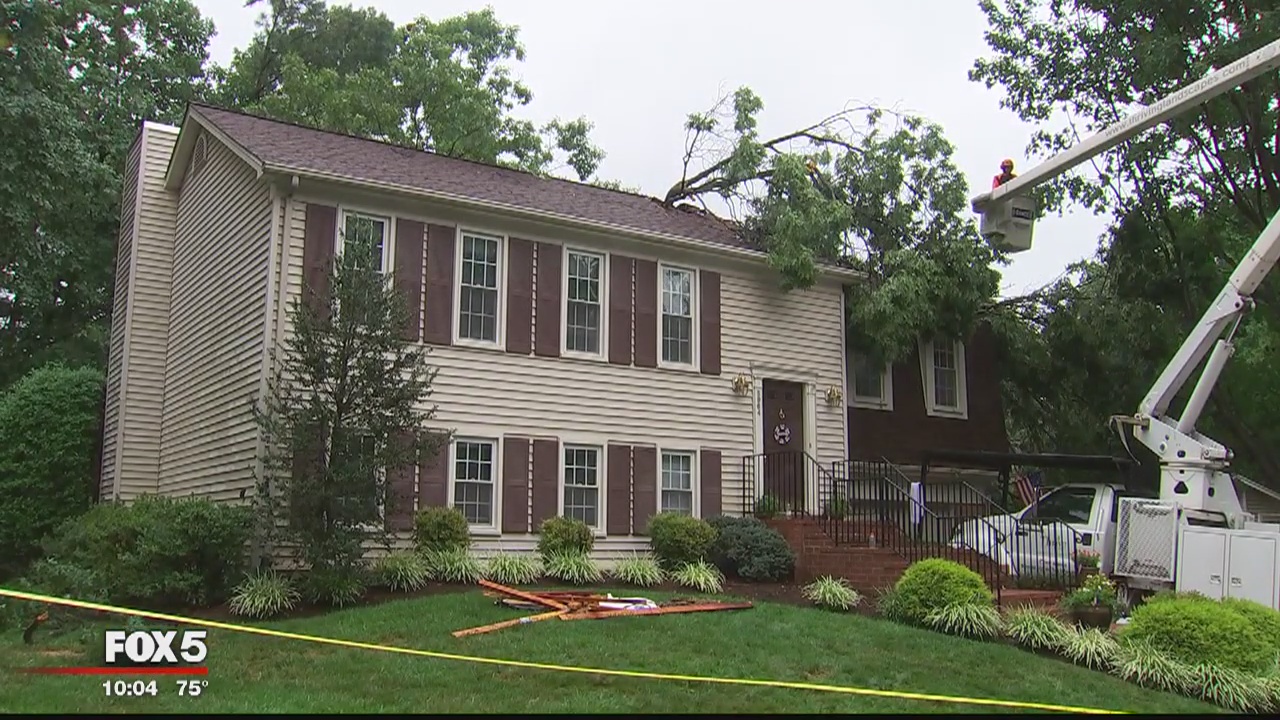 Saturated soil from heavy rains bring growing concerns of downed trees