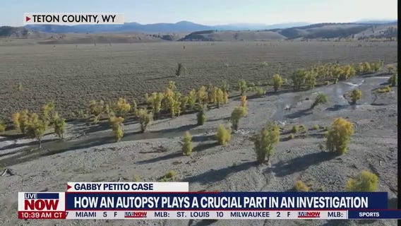 Gabby Petito case: How an autopsy plays a crucial part in an investigation