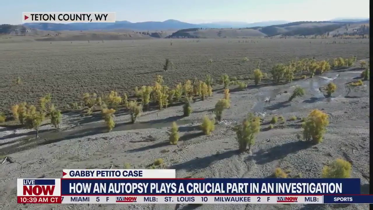 Gabby Petito case: How an autopsy plays a crucial part in an investigation