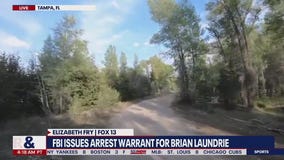 Gabby Petito Cases: Latest developments | LiveNOW from FOX