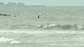 Part of Rockaway Beach closed