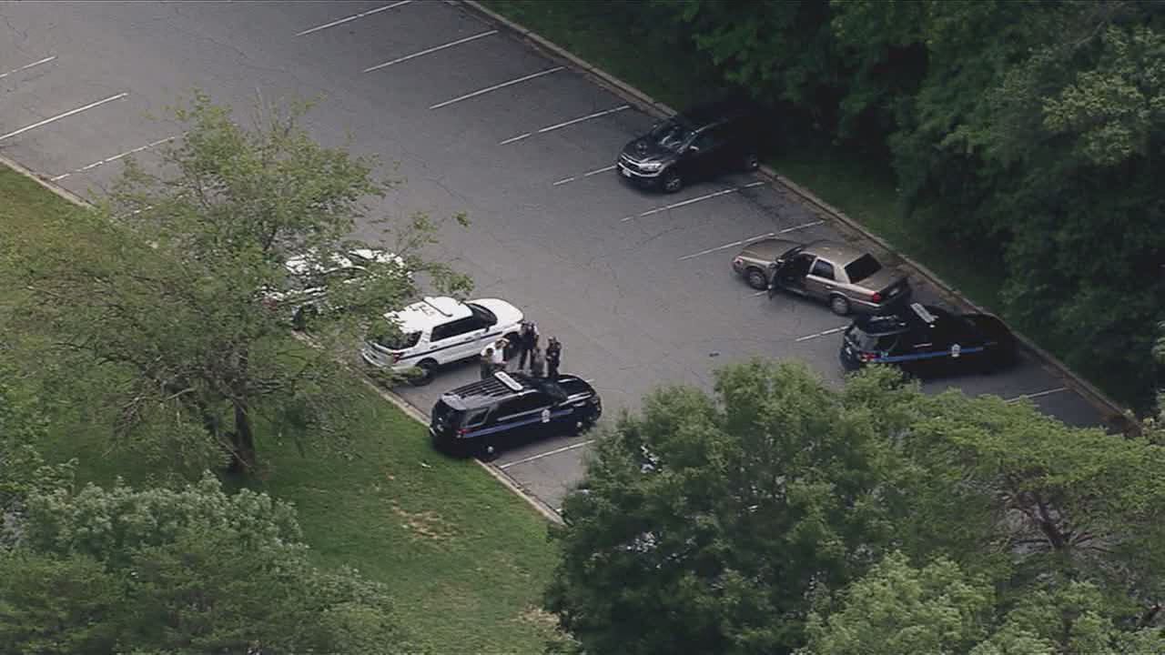 Mountain lion sighting reported at park in Prince George?s County