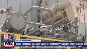 OPEC cuts oil production, Biden ?disappointed? in decision | LiveNOW from FOX