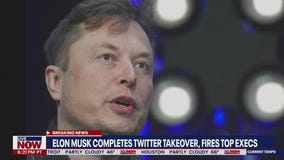 Elon Musk completes Twitter takeover, ousts 3 top execs | LiveNOW from FOX