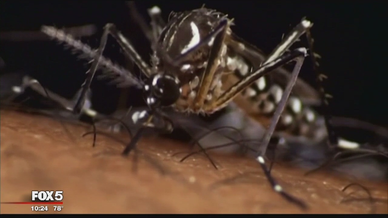 First case of West Nile Virus reported in Maryland