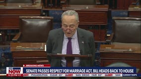 US Senate passes same-sex marriage bill, now heads to House for final vote