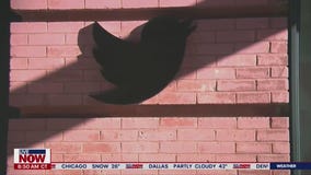 What happens next for Twitter under Elon Musk's leadership?