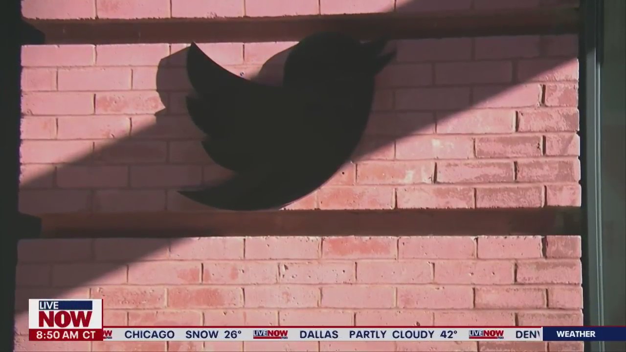 What happens next for Twitter under Elon Musk's leadership?