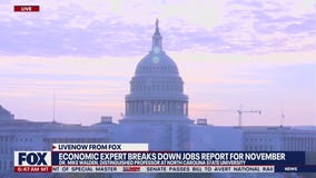 Economic expert breaks down November jobs report