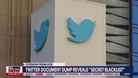 Twitter files, tech layoffs & more FTX fallout | LiveNOW from FOX