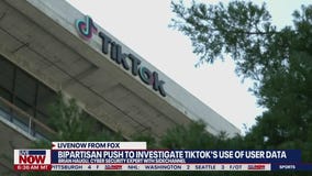 Bipartisan push to investigate TikTok's use of user data