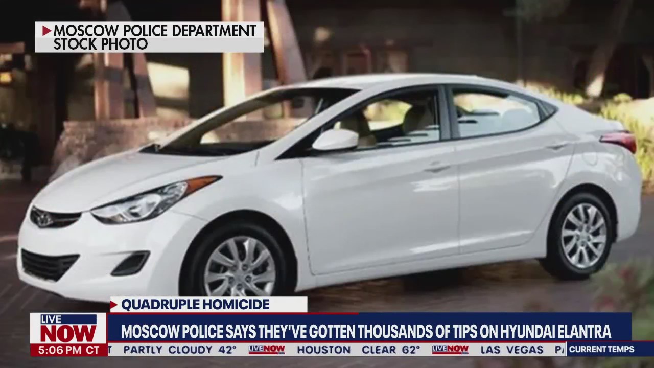 Idaho Murders: Police have list of 22K Hyundais, seeking 'anything abnormal' | LiveNOW from FOX