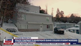 Idaho murders: Psychologist weighs in on investigation