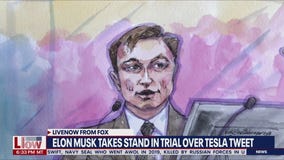Elon Musk takes stand in Tesla tweets trial