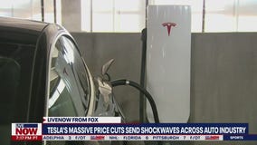 Tesla price cut 'puts pressure on owners,' expert says | LiveNOW from FOX