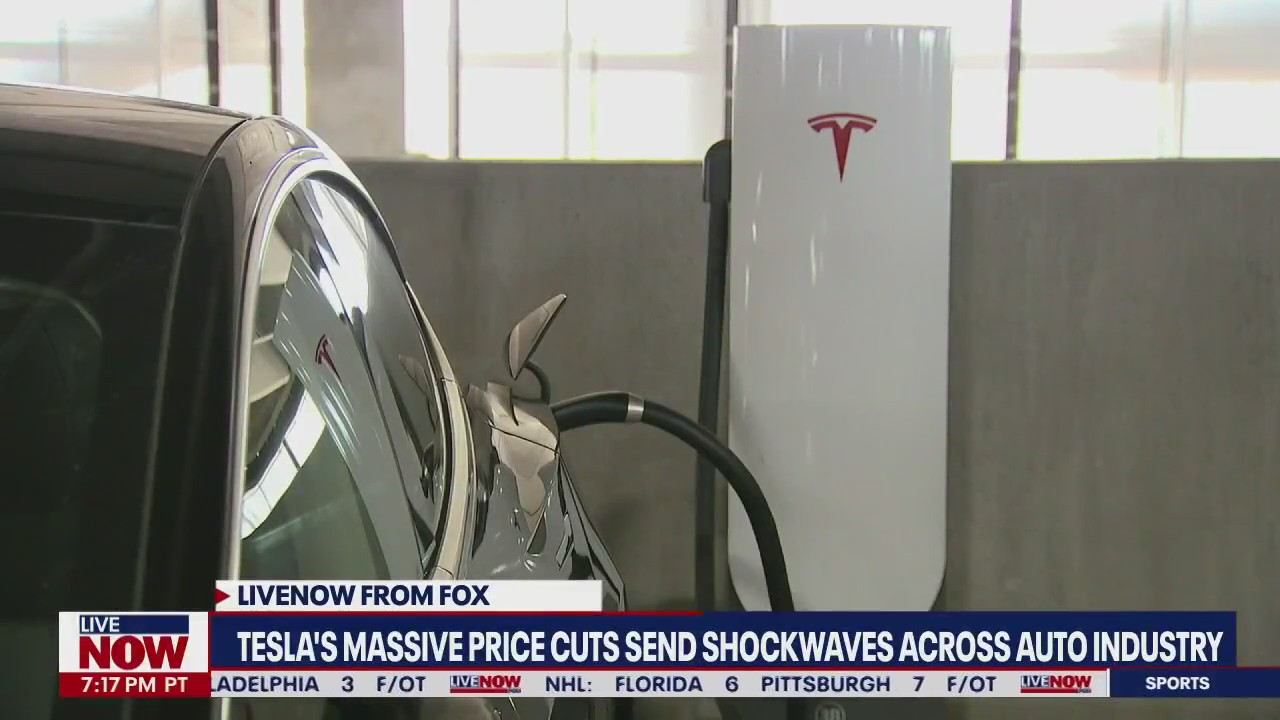 Tesla price cut 'puts pressure on owners,' expert says | LiveNOW from FOX