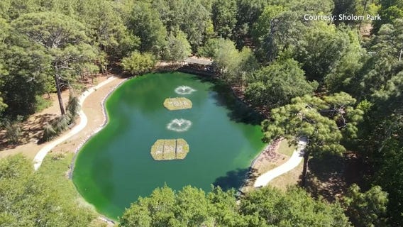 Everything to see, do and explore at Sholom Park