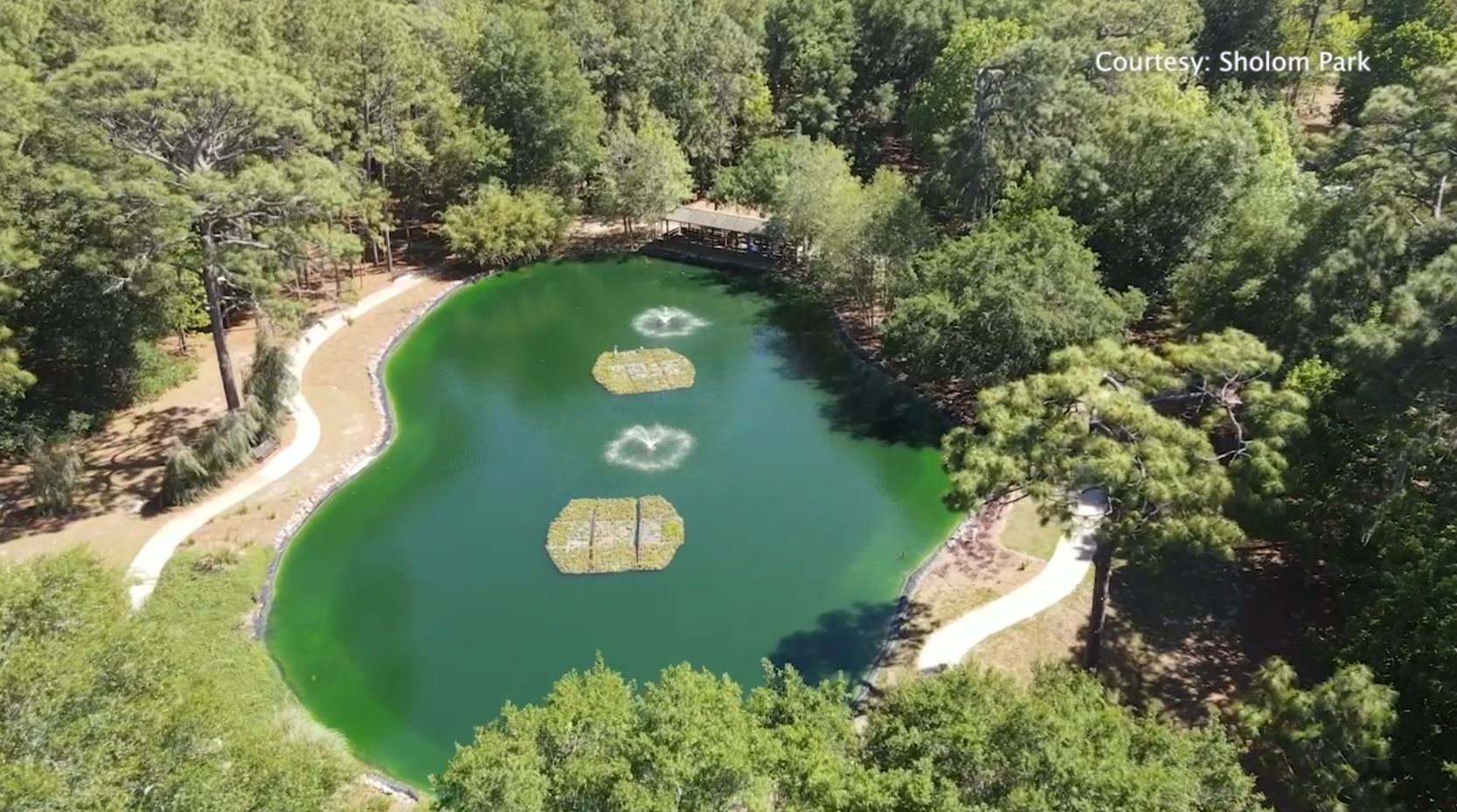 Everything to see, do and explore at Sholom Park