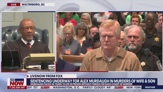Alex Murdaugh stands before judge at sentencing