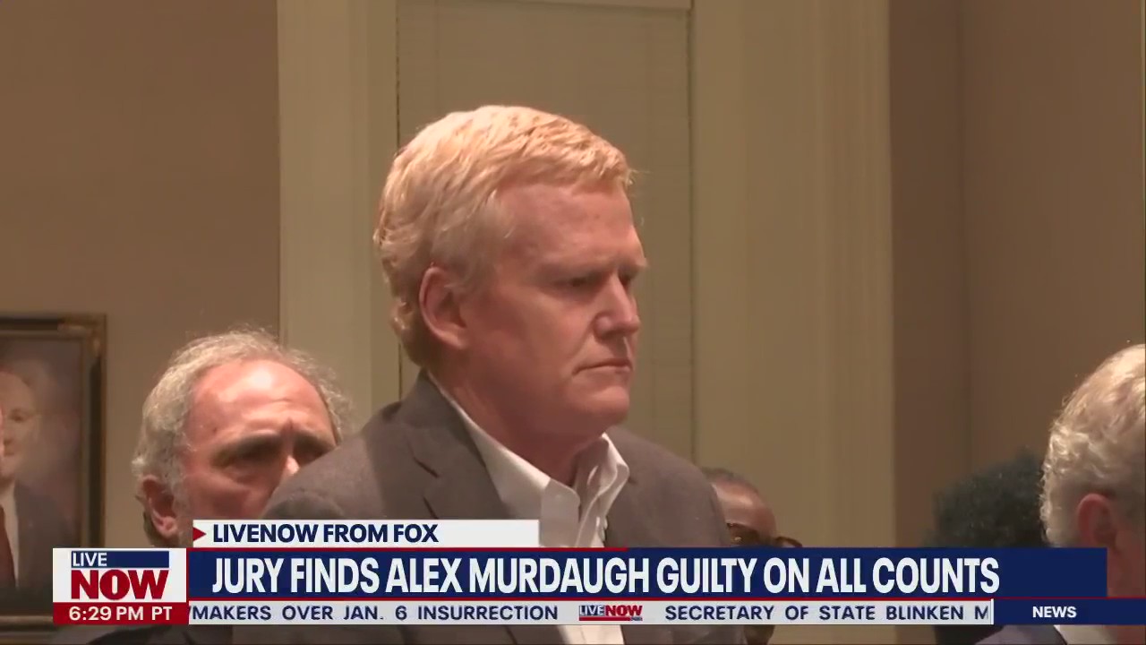 Alex Murdaugh shows little emotion during guilty verdict reading  | LiveNOW from FOX