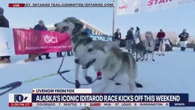 Alaska's Iconic Iditarod race kicks off this weekend | LiveNOW from FOX