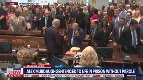 Criminologist discusses sentencing in Alex Murdaugh case