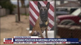 Police K-9 attacks Arizona man after escaping from handler's yard | LiveNOW from FOX