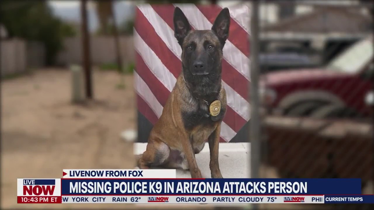Police K-9 attacks Arizona man after escaping from handler's yard | LiveNOW from FOX