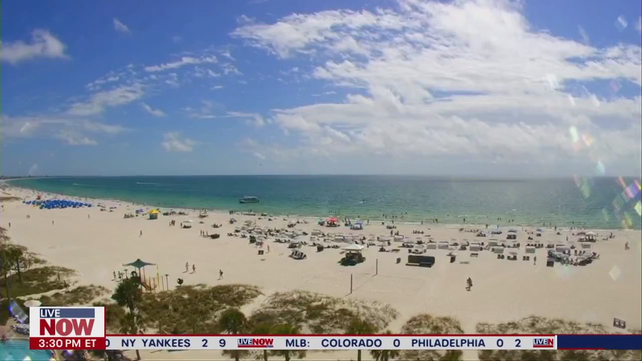 Earth Day: How to protect our planet