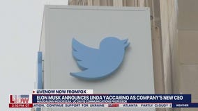Elon Musk announces new Twitter CEO