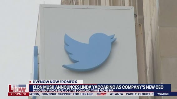 Elon Musk announces new Twitter CEO