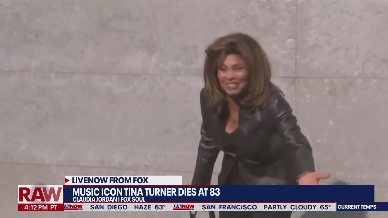 Fox Soul's Claudia Jordan on Tina Turner