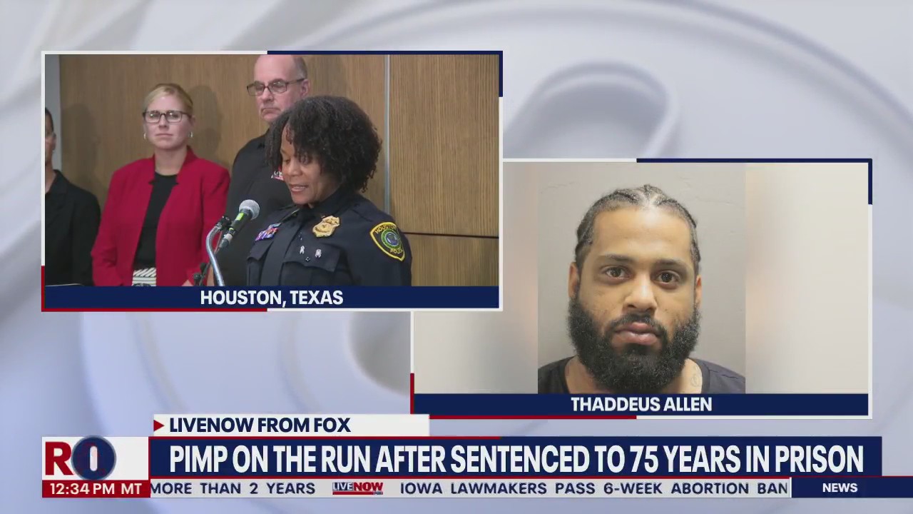 Pimp on the run: Man takes off post-sentencing