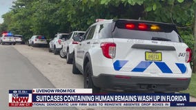 Suitcases with human remains wash up in Florida