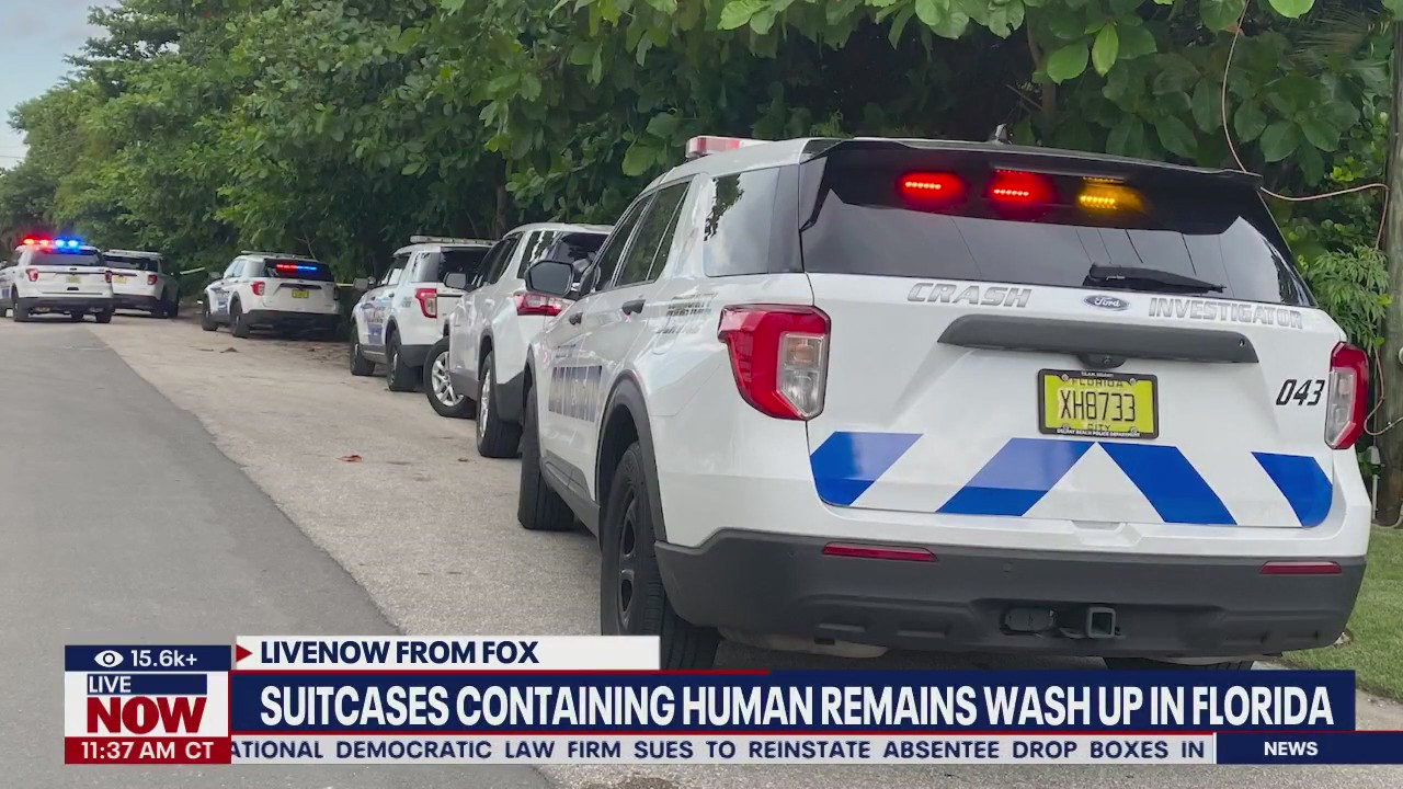 Suitcases with human remains wash up in Florida