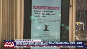 Major companies agree to 'AI safeguards'