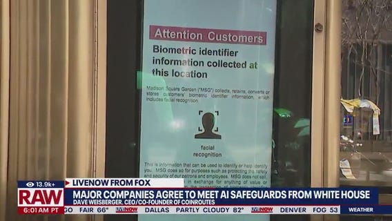 Major companies agree to 'AI safeguards'