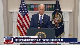 Expert weighs in on the future of AI