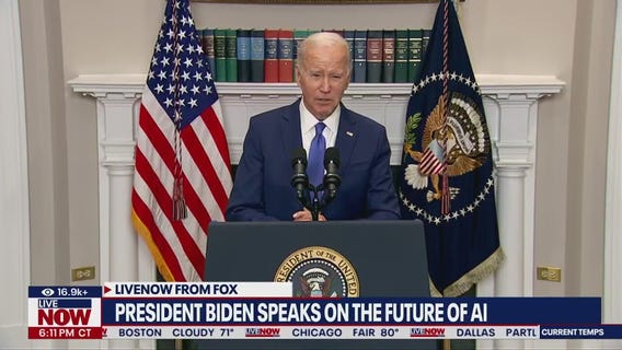 Expert weighs in on the future of AI