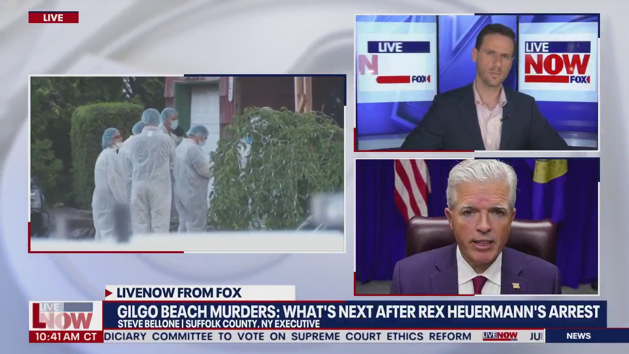 Gilgo Beach murders: County executive on case