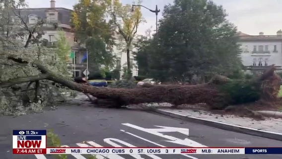 Storm cleanup in Washington D.C.